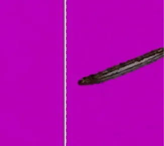 手書きサインの電子化、PDFやエクセル